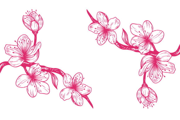 Elevating Brand Narratives with Sakura Cherry Blossom Branch Line Art